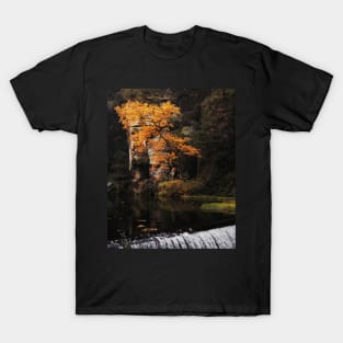 Bohemian Switzerland: Scenic Landscape Photography #4 T-Shirt